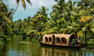 Une péniche navigue sur un canal bordé de palmiers luxuriants. Une belle façon de découvrir que faire au Kerala.