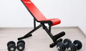 Rote Hantelbank mit schwarzem Rahmen und Hanteln auf dem Boden. Perfekt für dein Home-Gym, die beste Hantelbank für dein Training.