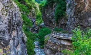 Un camino serpentea por un desfiladero en los Picos de Europa, flanqueado por imponentes paredes rocosas y vegetación exuberante.