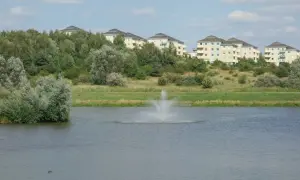 Widok na jezioro z fontanną i nowoczesne budynki mieszkalne na wzgórzu w Gdańsku Zakoniczyn.