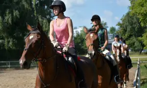 Hipologia i jeździectwo: Uczelnie, rekrutacja, kariera w Polsce