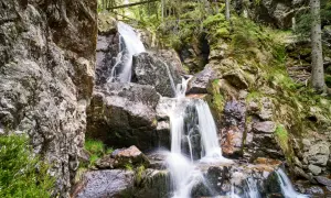 Ein malerischer zwiesel wasserfall stürzt über moosbewachsene Felsen in einem dichten Wald.