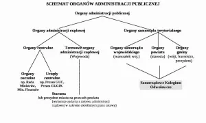 Schemat organów administracji publicznej: kiedy burmistrz, kiedy prezydent, a kiedy starosta.