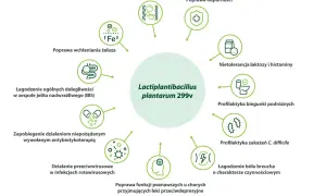 Sanprobi IBS na co pomaga? Łagodzi dolegliwości w zespole jelita nadwrażliwego, redukuje wzdęcia, poprawia odporność i wchłanianie żelaza.