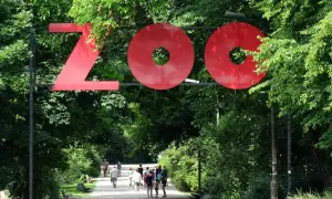 Wejście do największego zoo w Polsce. Czerwony napis "ZOO" nad alejką pełną zieleni, którą spacerują ludzie.