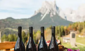Quattro bottiglie di vino scuro, con un paesaggio montano sullo sfondo. Sembra un'ottima degustazione, magari con un buon **teddy bier** per accompagnare.