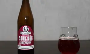 Butelka i szklanka z piwem porzeczkowym. Ciemnoczerwony napój z pianką. Etykieta "Sour Ale Czarna Porzeczka".