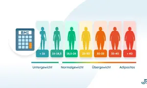 BMI-Rechner zeigt verschiedene Körpertypen von Untergewicht bis Adipositas. Ein Kaloriendefizit zum Abnehmen ist wichtig für die Gesundheit.
