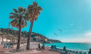 Idealne lazurowe wybrzeże wakacje: palmy, turkusowe morze i mewy szybujące na błękitnym niebie.