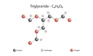 Struktura chemiczna triglicerydu, czyli tłuszczu. Pokazuje atomy węgla, wodoru i tlenu.
