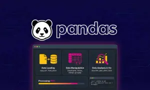 Interface de programmation pour l'analyse de données avec pandas. Chargement, manipulation et visualisation de données.