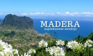 Madera: co zwiedzić na Maderze? Widok na górzyste wybrzeże z białymi kwiatami w pierwszym planie.