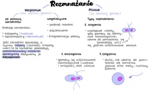 Rozmnażanie bezpłciowe (zarodniki, wegetatywne) i płciowe (izogamia, anizogamia, oogamia). Mejoza tworzy mejosporami.
