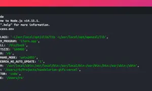Terminal affichant les variables d'environnement de Node.js, incluant `process.env`, dans un environnement de développement.