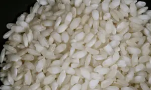 Gros plan sur du riz rond, parfait pour un risotto crémeux.