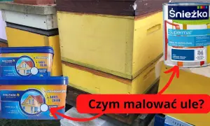 Czym malować ule poliuretanowe, aby uniknąć złuszczania farby?