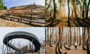 Zachodniopomorskie atrakcje: ścieżka na wzgórzu, słoneczny las, nowoczesna kładka i Krzywy Las.