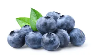 Mirtilli freschi con foglie verdi. Un frutto con basso indice glicemico, ideale per una dieta sana.