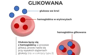 Hemoglobina glikowana (HbA1c): Co oznacza Twój wynik?