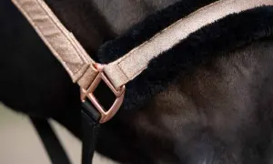 Eleganckie ogłowie z czarnym futerkiem i różowo-złotymi detalami. Różne rodzaje ogłowia mogą podkreślać piękno konia.