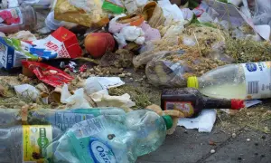 Jak segregować śmieci w Rybniku – uniknij najczęstszych błędów
