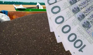 Ile płacą skupy nieruchomości? Sprawdź, co wpływa na ceny sprzedaży