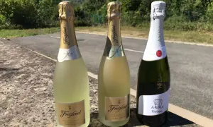Tre bottiglie di cava spumante, due Freixenet e una Anna de Codorníu, su un muretto con sfondo verdeggiante.