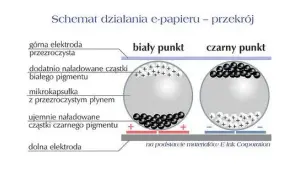 Jak działają ekrany e-ink i do czego są wykorzystywane w smartwatchach?