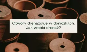 Drenaż w doniczce - klucz do zdrowych roślin i uniknięcia gnicia korzeni