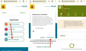 Pasos para instalar certificado digital Android en la Seguridad Social. Selecciona "DNIe o certificado" para continuar.