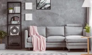 Un divano grigio con coperta rosa, libreria con vinile e piante. Idee su cosa mettere vicino al divano: tavolino, lampada, quadri.