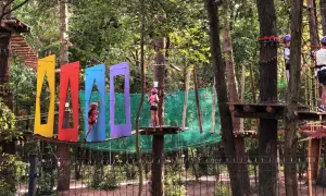 Park linowy Warszawa: Gdzie na przygodę z dziećmi? Cennik, trasy, bezpieczeństwo