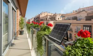 Balcón con plantas rojas y verdes, y una placa solar sin legalizar.