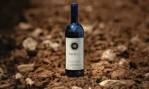 Bottiglia di Sassicaia, vino iconico, posata su terra brulla. Il suo vitigno è un simbolo di eccellenza.