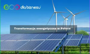 Panele słoneczne i wiatraki symbolizują transformację energetyczną w Polsce, kluczową dla polityki klimatycznej 2050.