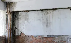 Schimmel im Keller: Feuchte Wände, rostige Rohre und bröckelnder Putz. Wer haftet für den Schaden?