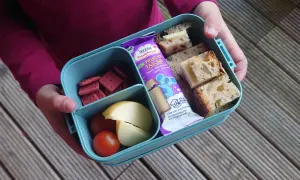 Proviant für die Wanderung: Brotscheiben mit Käse, rote Kekse, Apfelspalten und Tomaten in einer Brotdose. Ein Fruchtriegel liegt daneben.