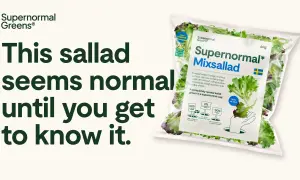 En påse Supernormal Mixsallad, en ljusgårda sallad odlad i Sverige. Krispig, god och redo att ätas.