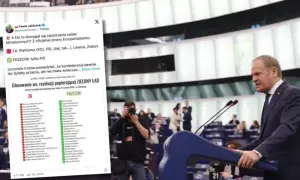 Zielony ład kto głosował za - lista europosłów i ich partie