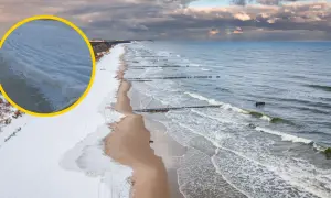 Zimowy Bałtyk z lodowymi falami przy brzegu. Czy bałtyk zamarzał? Widać zamarznięte przybrzeżne warstwy wody i śnieg na plaży.