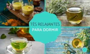 Tés relajantes para dormir: cúrcuma dorada, menta refrescante, manzanilla y hierbas aromáticas.