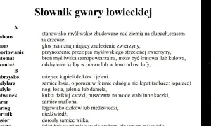Gwara łódzka słownik: dlaczego mówimy "migawka" i "robion"?
