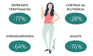 Ashwagandha-Dosierung kann depressive Verstimmung (-77%), Stress (-64%), Ängste (-76%) und Cortisol (-28%) reduzieren.