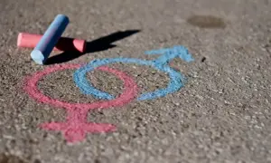 Kredą na chodniku narysowane symbole płci. Różowy symbol dziewczyny i niebieski symbol chłopca, obok leżą kredy. To pokazuje, co lubią dziewczyny i chłopcy.