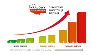 KRD czy BIG? Wybierz mądrze! Porównanie i co musisz wiedzieć