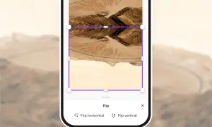 Jak zrobic odbicie lustrzane w telefonie? Widok ekranu z opcją "Flip vertical" do tworzenia lustrzanego odbicia zdjęcia.