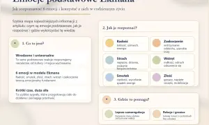 Mapa Ekmana: radość, smutek, złość, strach, wstręt, zaskoczenie. Poznaj, jak rozpoznawać te emocje i jak wpływają na nasze życie.