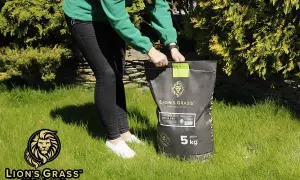 Trawa na suche tereny Lion's Grass Oasis Pro, 5 kg. Idealna mieszanka do stworzenia pięknego trawnika nawet w trudnych warunkach.