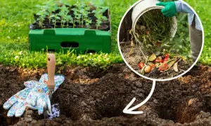 Rękawiczki i łopatka czekają na dodanie resztek organicznych do kompostownika. Tak zrobisz dobry kompost!