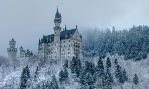 Neuschwanstein slott reser sig majestätiskt ur en snötäckt skog. En sagolik vy i vinterlandskap.